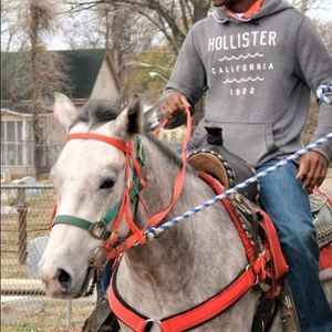 Meet your Posher, Markeveon